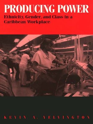 cover image of Producing Power